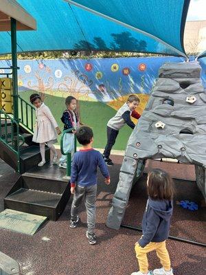 Elementary Climbing Structure