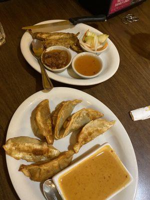 Pot Sticker Chicken Satay