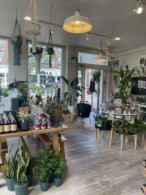 Such a cute little plantita shop with beautiful and adorable decorative objects that charm and personality to a space!