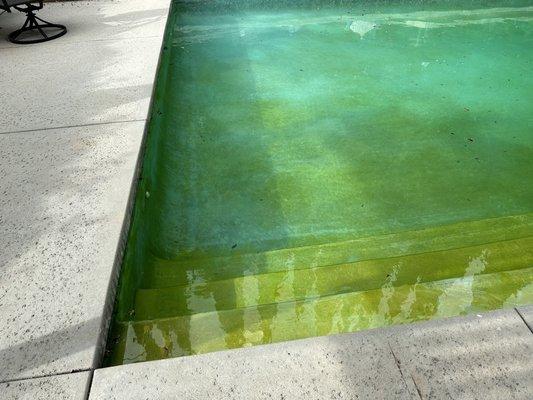 Green pool