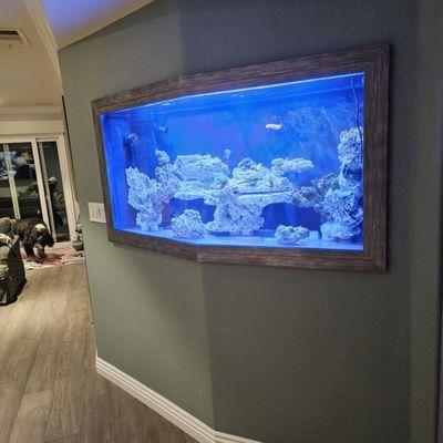 Nice view of the wall tank