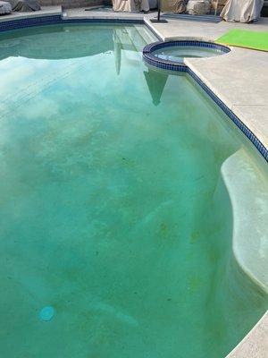 Pool turned green due to lack of service