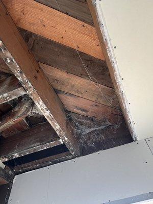 They didn't even clean the mold or spider webs before installing new drywall.