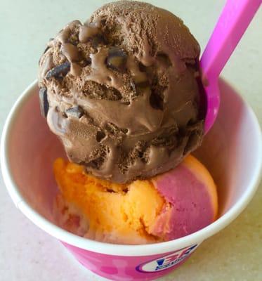 Rainbow Sherbet & Chocolate Ice Cream