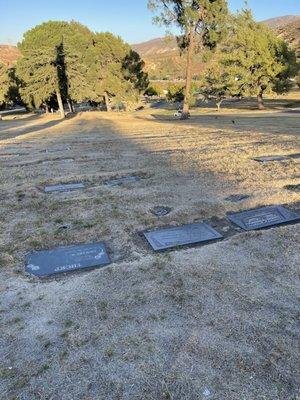 The landscape at Eternal Valley is 95% unmanaged and dead