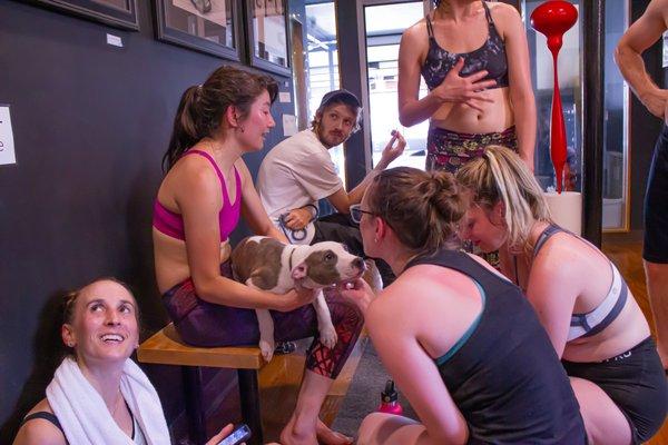 Pups + Pilates Fundraiser to raise money for Last Hope K9