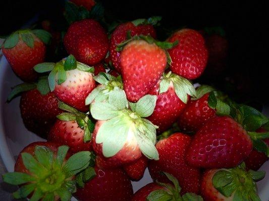 Strawberries