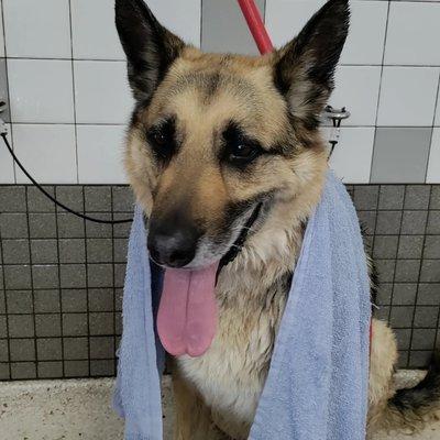 Henry is always so excited when bath time is done! Lol!