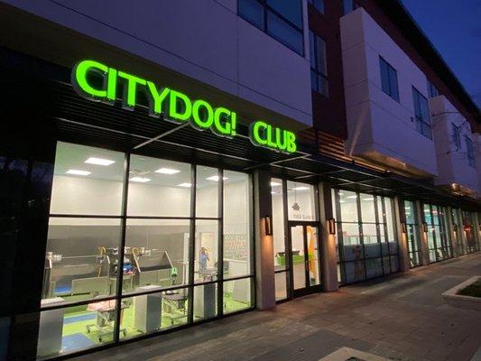 Citydog! Club