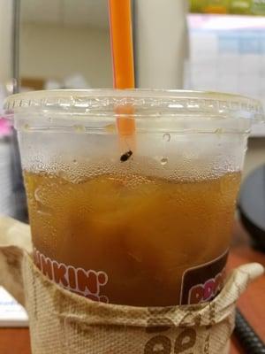 This happened today 6/1/2016.. found a dead roach INSIDE my iced coffee from the 7th and Market Dunkin Donuts.