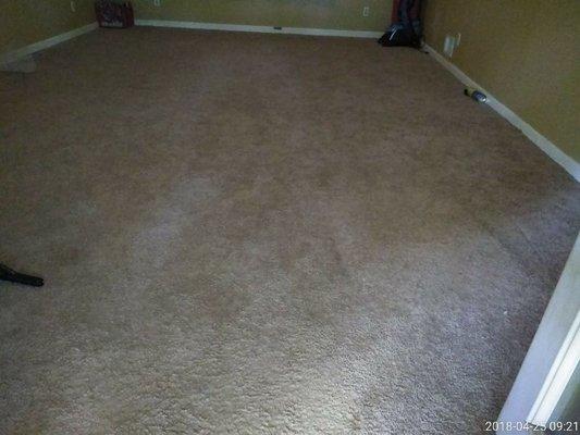 Before- Dull and dinghy carpet from dog traffic.