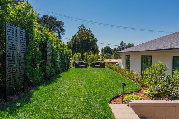 Privacy hedge and lawn