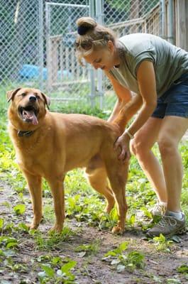 Cedar enjoying a butt scratch!!