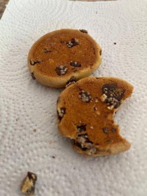 Mold spores growing on chocolate chips