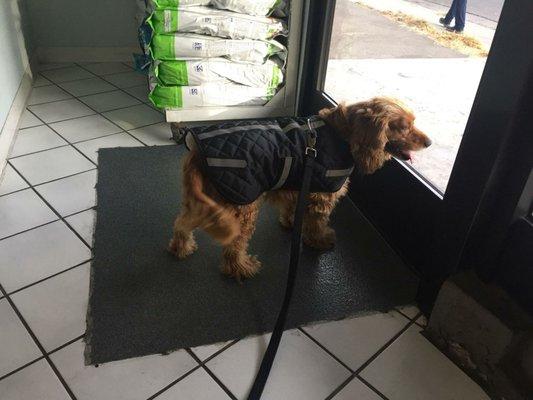 Hired security at the Vet, Hahaha!