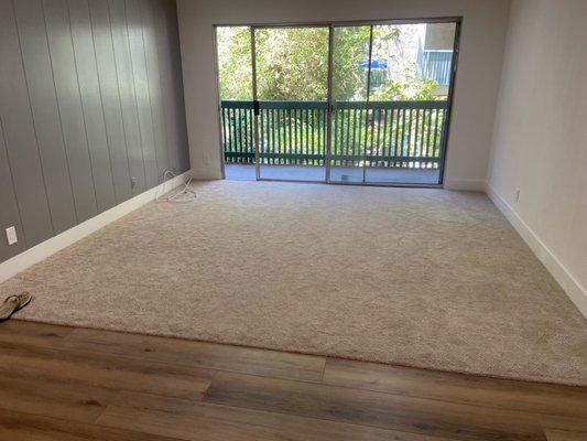 Carpet in living room and vinyl floor in hallway