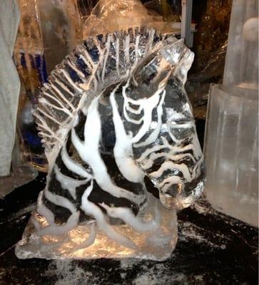 Zebra bust (2'x 3'H) in freezer.