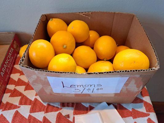 3 Meyer Lemons for $1