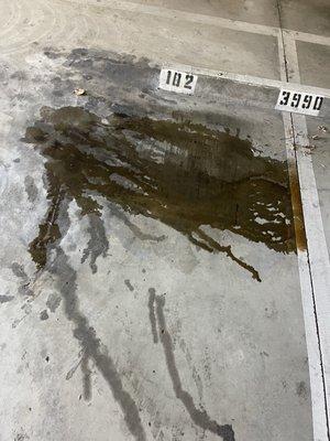 Oil leak caused by Lee Rollins Firestone