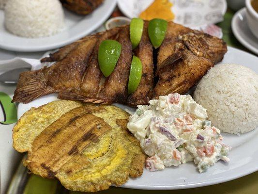 One large tostone, stiff rice, potato salad, and fried fish.