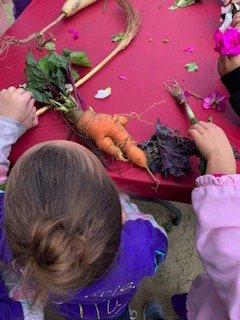 farm field trip