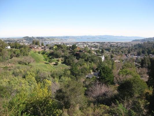 Richmond-San Rafael bridge, East Bay in the distance.