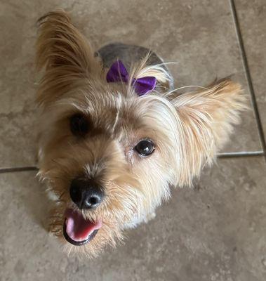 She was very happy with her fresh cut with a bow and pigtails.