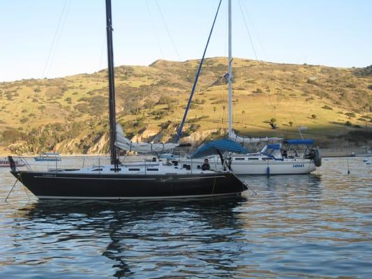 That's Tequila and Ole moored next to us at Two Harbors Catalina Is. Nice having friends nearby in the same cove.