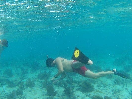 snorkeling in the waters off Key West