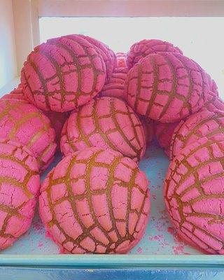 Pink Conchas