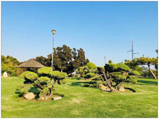 Beautiful Japanese garden.