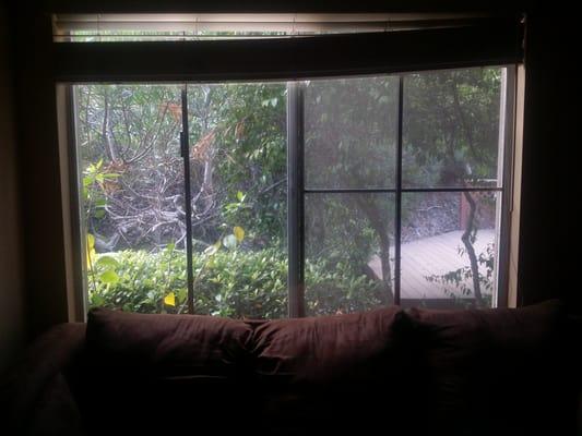 My ginormous window! Thanks advance glass and mirror!!