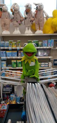 Kermit at the counter 3/11/24