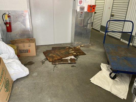 Wet cardboard used to cover a pile of broken glass impeding the access to the elevator I normally use