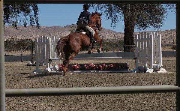 Hunter/Jumper show