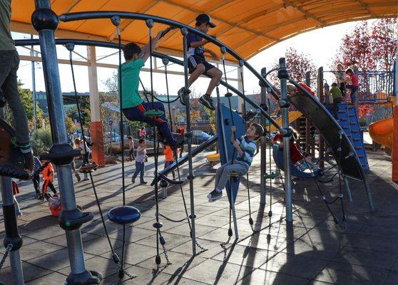 The Lower School playground was expanded and renovated in 2014 and gave way to a spacious Outdoor Learning Environment.