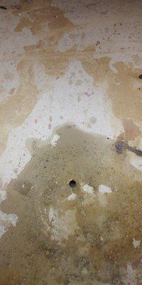 Accidental hole drilled by contractor