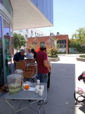 The Village At Ed Gould Plaza