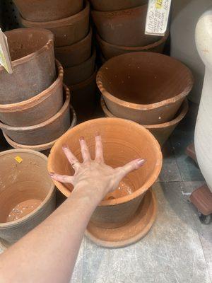 Large outdoor pots