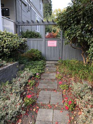 Our garden gate entrance on W. Galer.