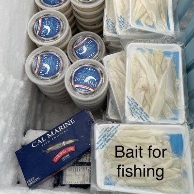 Fish bait