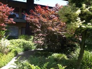 Courtyard Garden