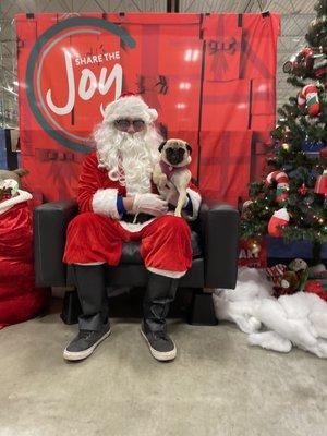 Time for puppy Santa photos