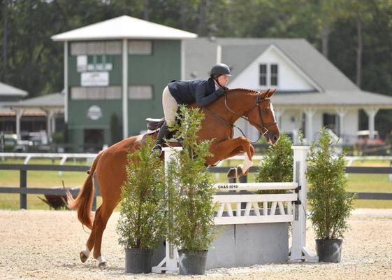 Windy Oaks Farm