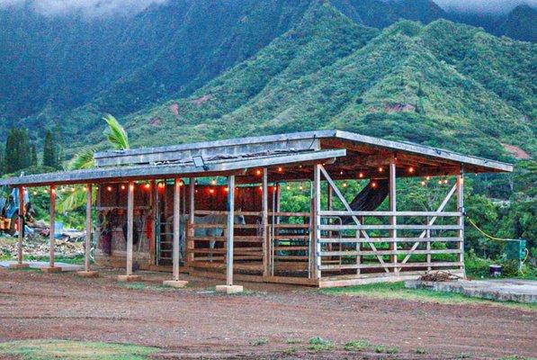 The stable in the Lawrence lovestock farm