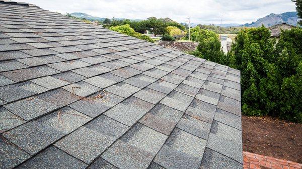 Asphalt Shingles