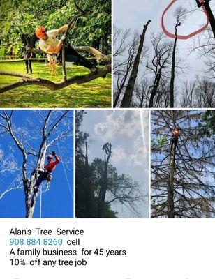 Alan's Tree Service