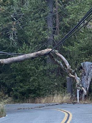 And here's why.. close up Road closure @Summit in Santa Cruz Mountains CA past wknd 8/28/22