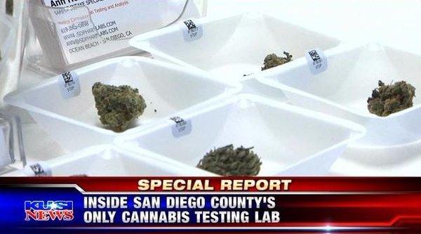 PharmLabs special on KUSI News!