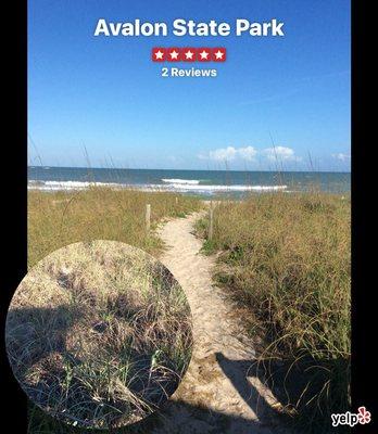 Avalon State Park